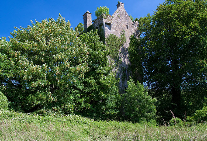 Ballyclough Castle, Ireland